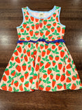 WildFlowers Girls"Strawberry Fields" Dandy Dress Size 4T New Condition