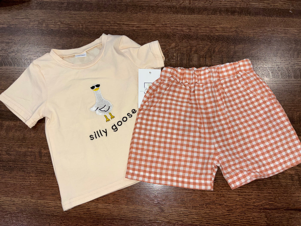 “Silly Goose” T-Shirt & Gingham Plaid Shorts NWT 12-18 Months