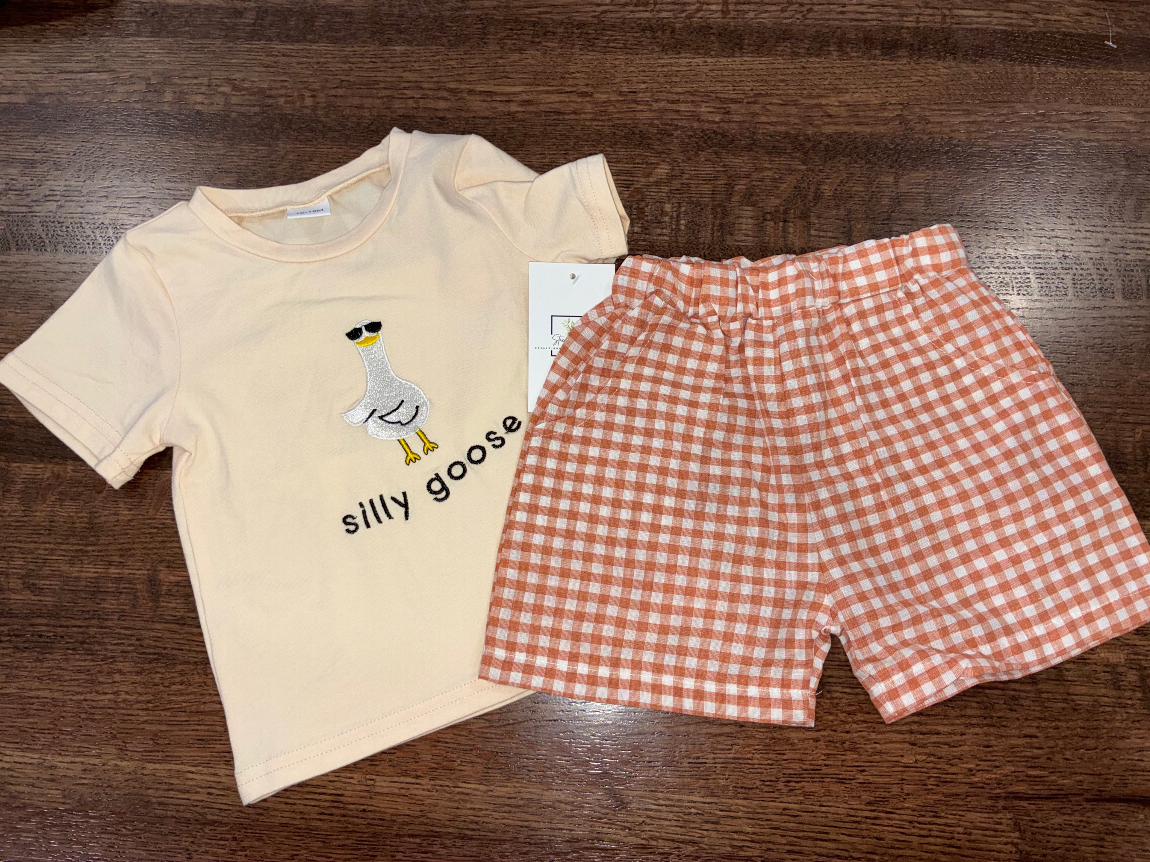 “Silly Goose” T-Shirt & Gingham Plaid Shorts NWT 12-18 Months