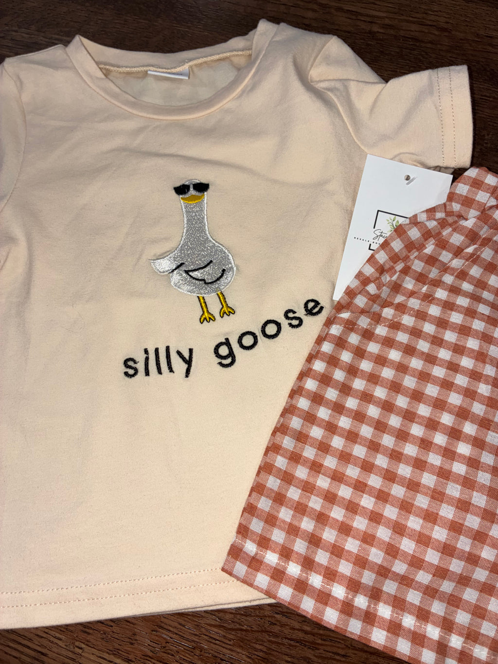 “Silly Goose” T-Shirt & Gingham Plaid Shorts NWT 12-18 Months