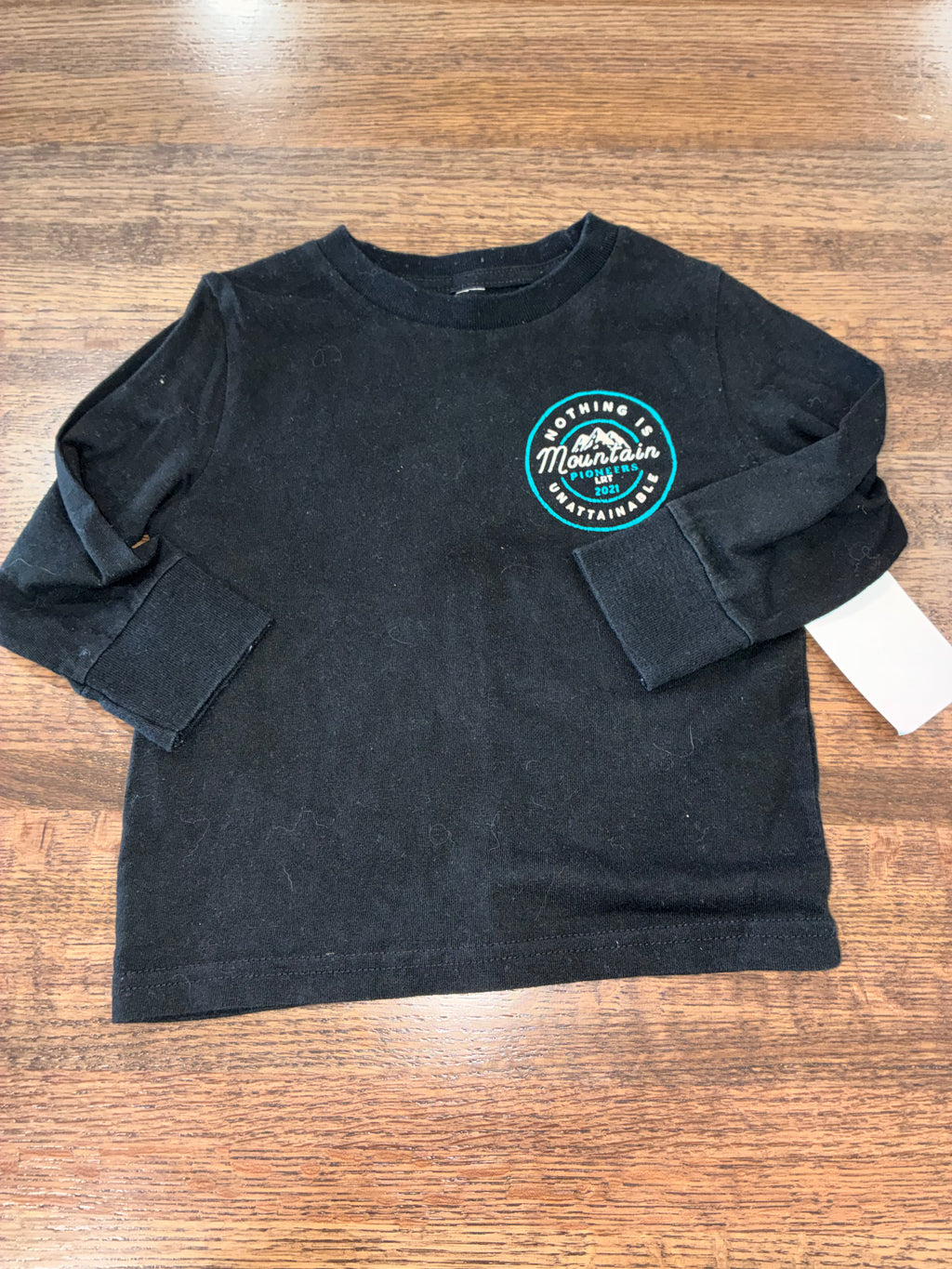 Stay Swell Nothing is Unattainable Long Sleeve Tee T-Shirt Size 2T 3T
